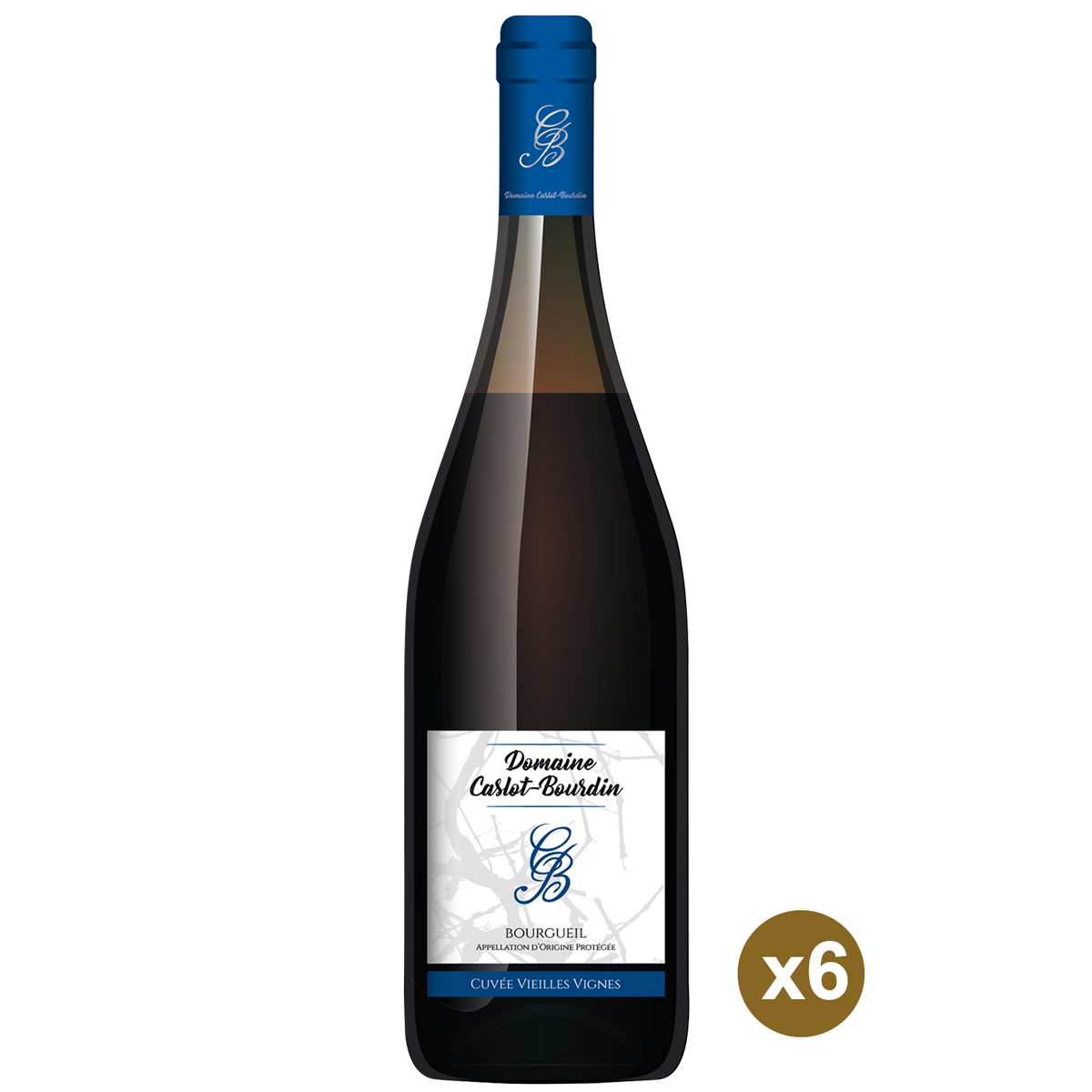 vieilles-vignes-2019-domaine-caslot-bourdin