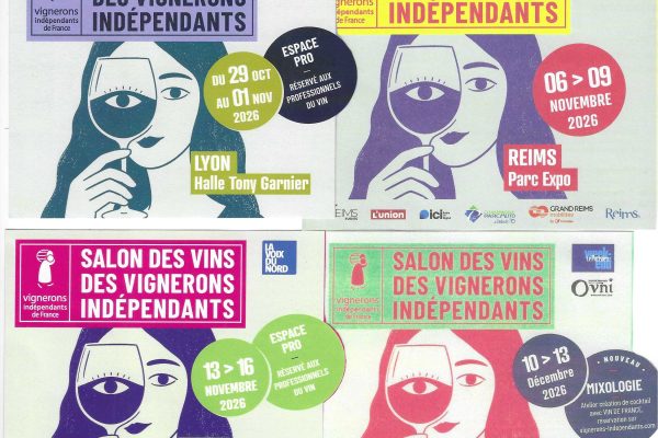 Photo VISUEL SALONS VIF 2026